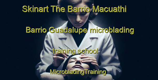 Skinart The Barrio Macuathi  Barrio Guadalupe microblading training school | #MicrobladingTraining #MicrobladingClasses #SkinartTraining-Mexico