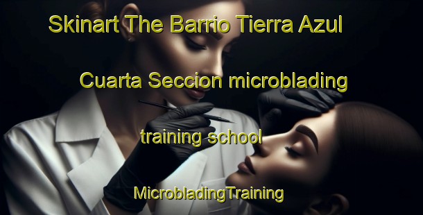 Skinart The Barrio Tierra Azul  Cuarta Seccion microblading training school | #MicrobladingTraining #MicrobladingClasses #SkinartTraining-Mexico