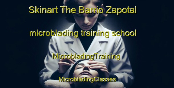 Skinart The Barrio Zapotal microblading training school | #MicrobladingTraining #MicrobladingClasses #SkinartTraining-Mexico