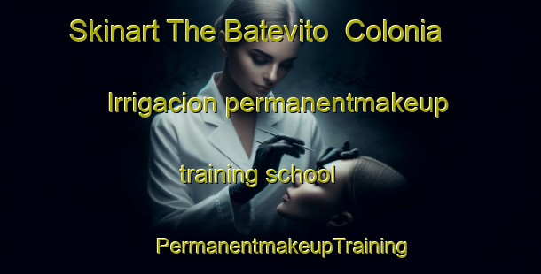 Skinart The Batevito  Colonia Irrigacion permanentmakeup training school | #PermanentmakeupTraining #PermanentmakeupClasses #SkinartTraining-Mexico