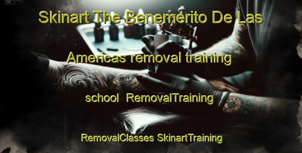 Skinart The Benemerito De Las Americas removal training school | #RemovalTraining #RemovalClasses #SkinartTraining-Mexico