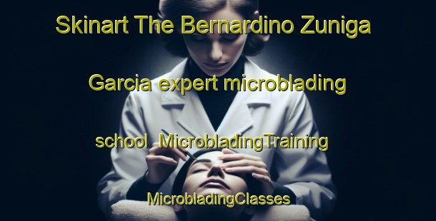 Skinart The Bernardino Zuniga Garcia expert microblading school | #MicrobladingTraining #MicrobladingClasses #SkinartTraining-Mexico