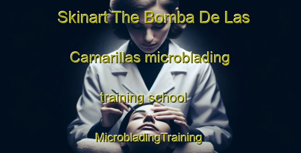 Skinart The Bomba De Las Camarillas microblading training school | #MicrobladingTraining #MicrobladingClasses #SkinartTraining-Mexico