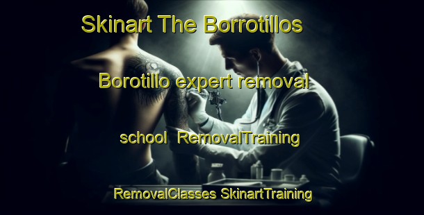 Skinart The Borrotillos  Borotillo expert removal school | #RemovalTraining #RemovalClasses #SkinartTraining-Mexico