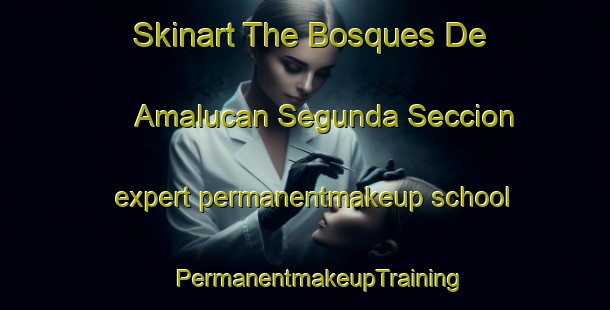 Skinart The Bosques De Amalucan Segunda Seccion expert permanentmakeup school | #PermanentmakeupTraining #PermanentmakeupClasses #SkinartTraining-Mexico