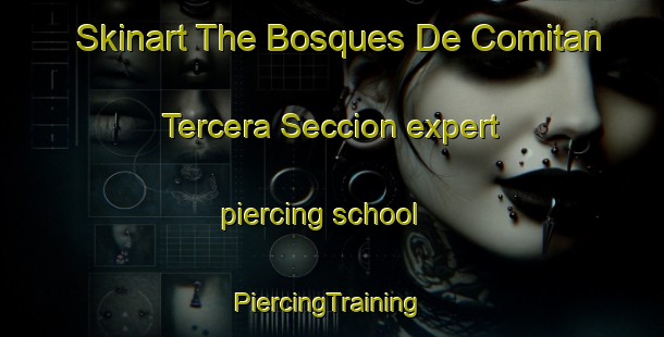 Skinart The Bosques De Comitan Tercera Seccion expert piercing school | #PiercingTraining #PiercingClasses #SkinartTraining-Mexico