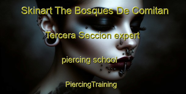 Skinart The Bosques De Comitan Tercera Seccion expert piercing school | #PiercingTraining #PiercingClasses #SkinartTraining-Mexico