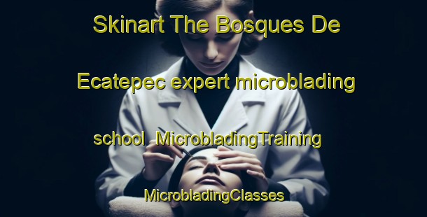 Skinart The Bosques De Ecatepec expert microblading school | #MicrobladingTraining #MicrobladingClasses #SkinartTraining-Mexico