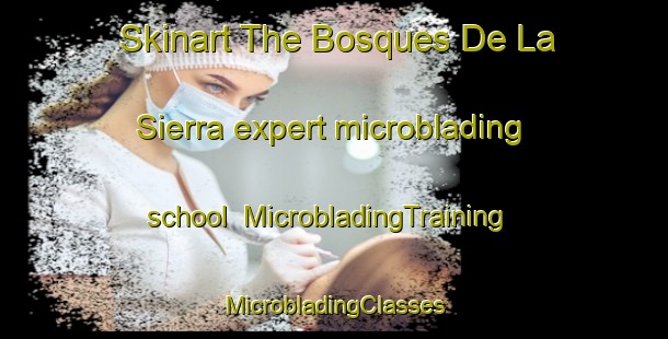 Skinart The Bosques De La Sierra expert microblading school | #MicrobladingTraining #MicrobladingClasses #SkinartTraining-Mexico