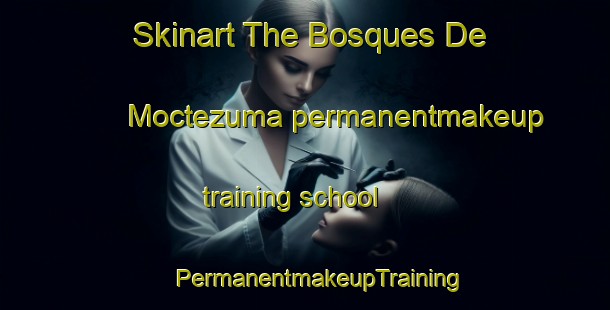 Skinart The Bosques De Moctezuma permanentmakeup training school | #PermanentmakeupTraining #PermanentmakeupClasses #SkinartTraining-Mexico