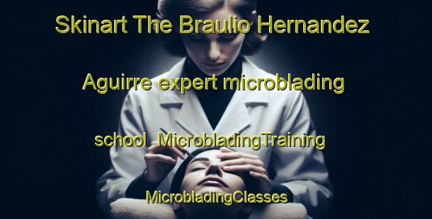 Skinart The Braulio Hernandez Aguirre expert microblading school | #MicrobladingTraining #MicrobladingClasses #SkinartTraining-Mexico