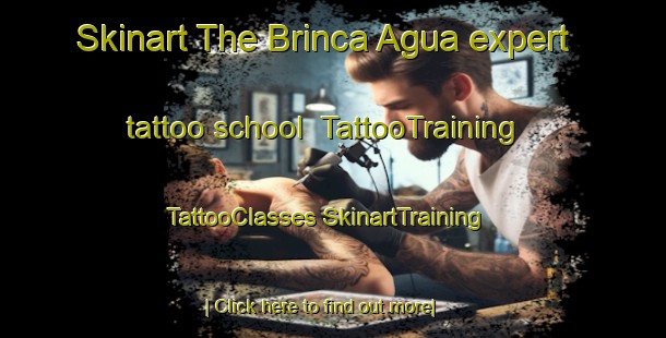 Skinart The Brinca Agua expert tattoo school | #TattooTraining #TattooClasses #SkinartTraining-Mexico