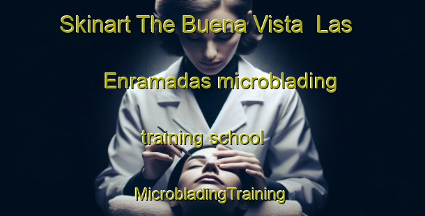 Skinart The Buena Vista  Las Enramadas microblading training school | #MicrobladingTraining #MicrobladingClasses #SkinartTraining-Mexico