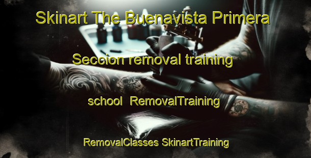 Skinart The Buenavista Primera Seccion removal training school | #RemovalTraining #RemovalClasses #SkinartTraining-Mexico