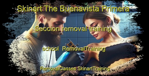 Skinart The Buenavista Primera Seccion removal training school | #RemovalTraining #RemovalClasses #SkinartTraining-Mexico