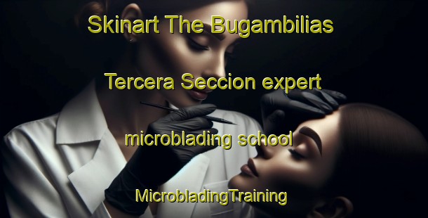 Skinart The Bugambilias Tercera Seccion expert microblading school | #MicrobladingTraining #MicrobladingClasses #SkinartTraining-Mexico