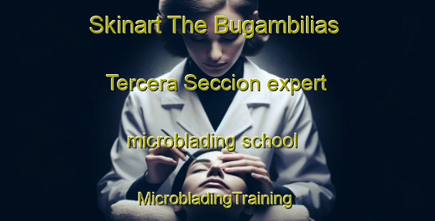 Skinart The Bugambilias Tercera Seccion expert microblading school | #MicrobladingTraining #MicrobladingClasses #SkinartTraining-Mexico