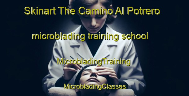 Skinart The Camino Al Potrero microblading training school | #MicrobladingTraining #MicrobladingClasses #SkinartTraining-Mexico