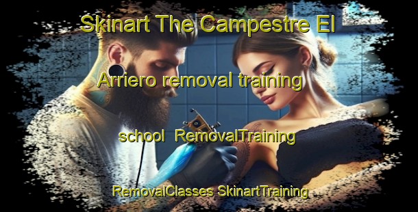 Skinart The Campestre El Arriero removal training school | #RemovalTraining #RemovalClasses #SkinartTraining-Mexico