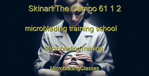 Skinart The Campo 61 1 2 microblading training school | #MicrobladingTraining #MicrobladingClasses #SkinartTraining-Mexico