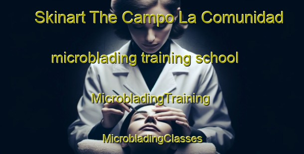 Skinart The Campo La Comunidad microblading training school | #MicrobladingTraining #MicrobladingClasses #SkinartTraining-Mexico