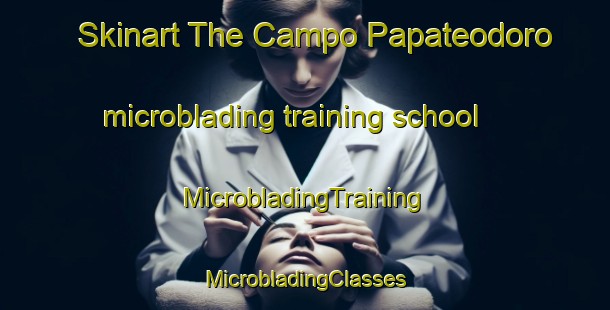 Skinart The Campo Papateodoro microblading training school | #MicrobladingTraining #MicrobladingClasses #SkinartTraining-Mexico