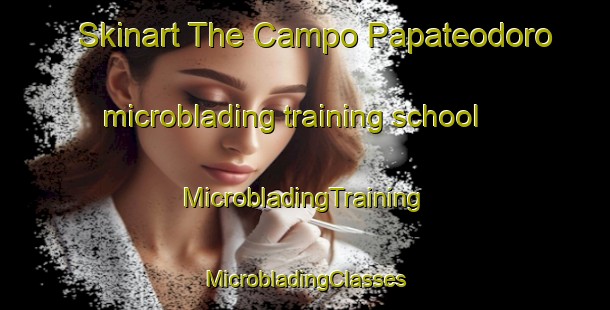 Skinart The Campo Papateodoro microblading training school | #MicrobladingTraining #MicrobladingClasses #SkinartTraining-Mexico