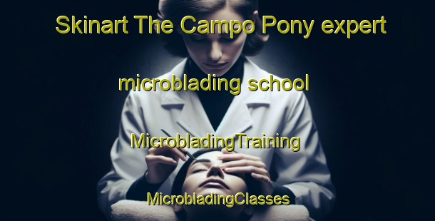 Skinart The Campo Pony expert microblading school | #MicrobladingTraining #MicrobladingClasses #SkinartTraining-Mexico