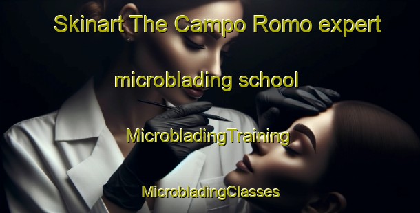 Skinart The Campo Romo expert microblading school | #MicrobladingTraining #MicrobladingClasses #SkinartTraining-Mexico