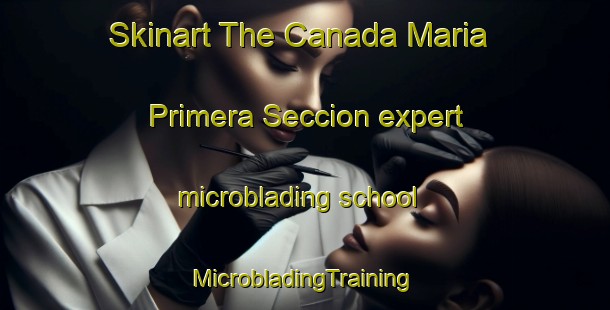 Skinart The Canada Maria  Primera Seccion expert microblading school | #MicrobladingTraining #MicrobladingClasses #SkinartTraining-Mexico