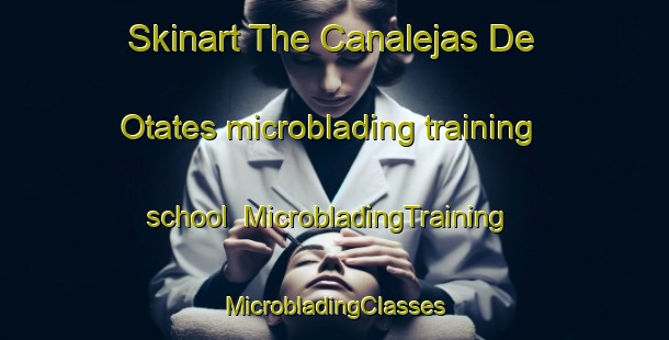 Skinart The Canalejas De Otates microblading training school | #MicrobladingTraining #MicrobladingClasses #SkinartTraining-Mexico