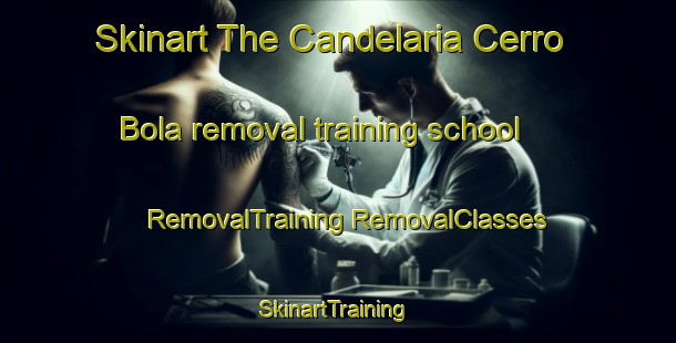 Skinart The Candelaria Cerro Bola removal training school | #RemovalTraining #RemovalClasses #SkinartTraining-Mexico