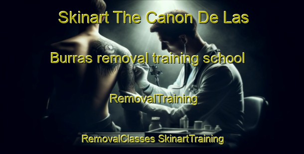 Skinart The Canon De Las Burras removal training school | #RemovalTraining #RemovalClasses #SkinartTraining-Mexico