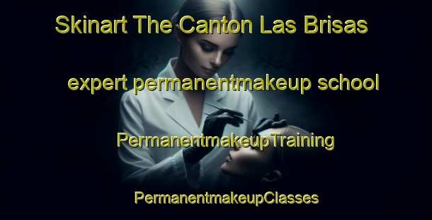 Skinart The Canton Las Brisas expert permanentmakeup school | #PermanentmakeupTraining #PermanentmakeupClasses #SkinartTraining-Mexico