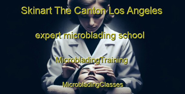 Skinart The Canton Los Angeles expert microblading school | #MicrobladingTraining #MicrobladingClasses #SkinartTraining-Mexico