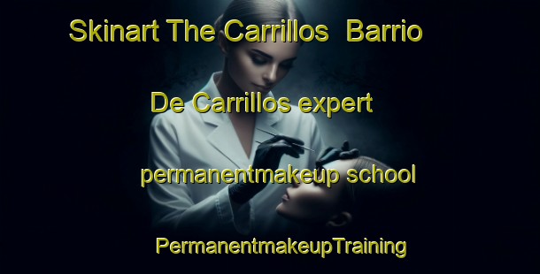 Skinart The Carrillos  Barrio De Carrillos expert permanentmakeup school | #PermanentmakeupTraining #PermanentmakeupClasses #SkinartTraining-Mexico