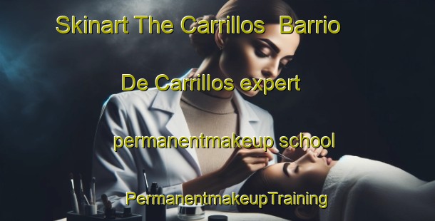 Skinart The Carrillos  Barrio De Carrillos expert permanentmakeup school | #PermanentmakeupTraining #PermanentmakeupClasses #SkinartTraining-Mexico