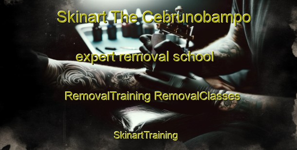 Skinart The Cebrunobampo expert removal school | #RemovalTraining #RemovalClasses #SkinartTraining-Mexico