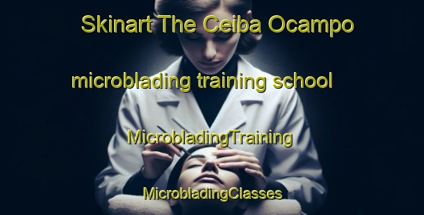 Skinart The Ceiba Ocampo microblading training school | #MicrobladingTraining #MicrobladingClasses #SkinartTraining-Mexico