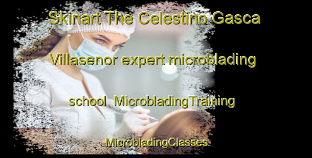 Skinart The Celestino Gasca Villasenor expert microblading school | #MicrobladingTraining #MicrobladingClasses #SkinartTraining-Mexico