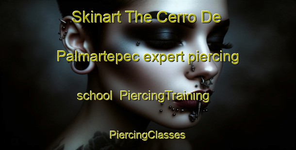 Skinart The Cerro De Palmartepec expert piercing school | #PiercingTraining #PiercingClasses #SkinartTraining-Mexico