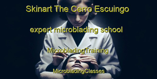 Skinart The Cerro Escuingo expert microblading school | #MicrobladingTraining #MicrobladingClasses #SkinartTraining-Mexico