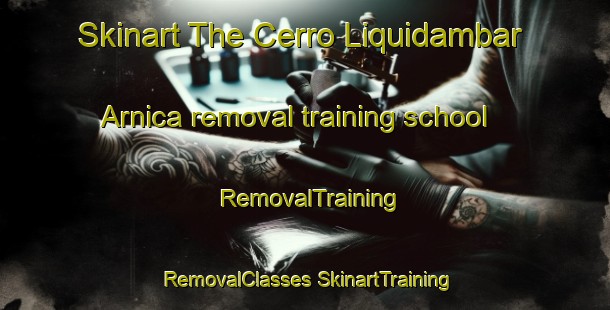 Skinart The Cerro Liquidambar Arnica removal training school | #RemovalTraining #RemovalClasses #SkinartTraining-Mexico