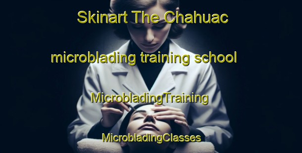 Skinart The Chahuac microblading training school | #MicrobladingTraining #MicrobladingClasses #SkinartTraining-Mexico