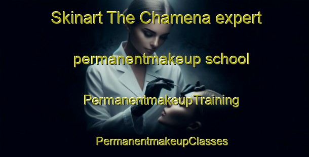 Skinart The Chamena expert permanentmakeup school | #PermanentmakeupTraining #PermanentmakeupClasses #SkinartTraining-Mexico