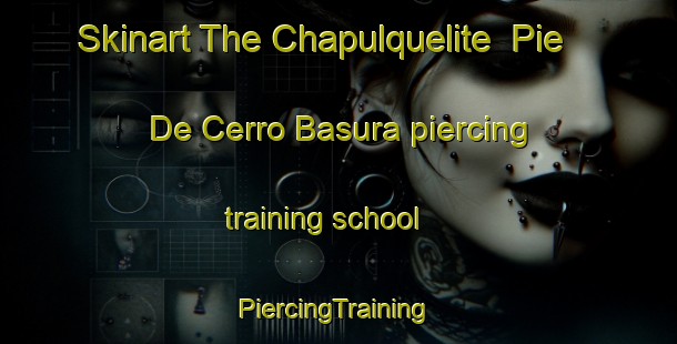 Skinart The Chapulquelite  Pie De Cerro Basura piercing training school | #PiercingTraining #PiercingClasses #SkinartTraining-Mexico