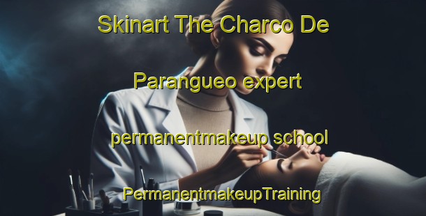 Skinart The Charco De Parangueo expert permanentmakeup school | #PermanentmakeupTraining #PermanentmakeupClasses #SkinartTraining-Mexico