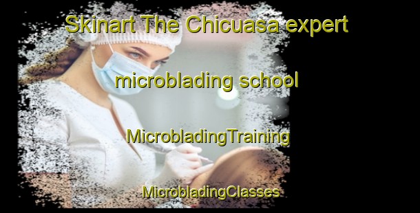 Skinart The Chicuasa expert microblading school | #MicrobladingTraining #MicrobladingClasses #SkinartTraining-Mexico