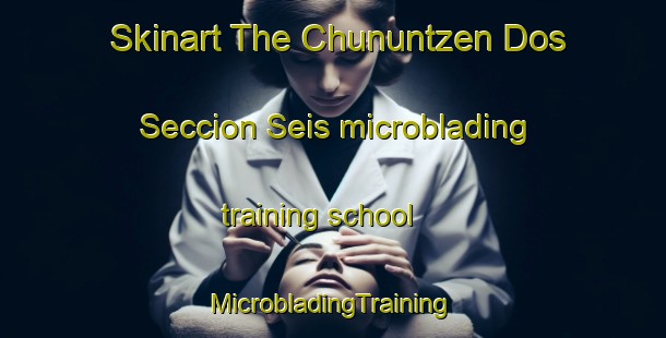 Skinart The Chununtzen Dos Seccion Seis microblading training school | #MicrobladingTraining #MicrobladingClasses #SkinartTraining-Mexico