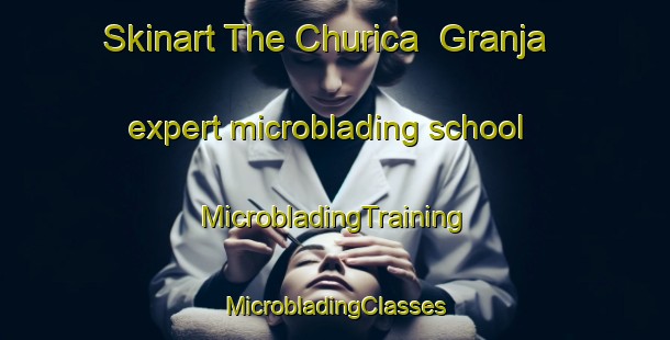 Skinart The Churica  Granja expert microblading school | #MicrobladingTraining #MicrobladingClasses #SkinartTraining-Mexico